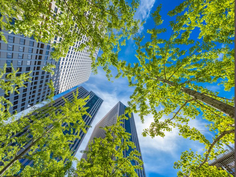 Grüne Architektur: Nachhaltige Gebäudekonzepte für die Zukunft